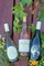 Summer Sipping - View 1
